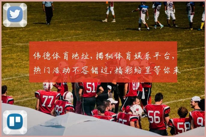 伟德体育地址,揭秘体育娱乐平台,热门活动不容错过,精彩纷呈等你来