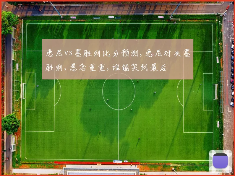 悉尼vs墨胜利比分预测,悉尼对决墨胜利,悬念重重,谁能笑到最后