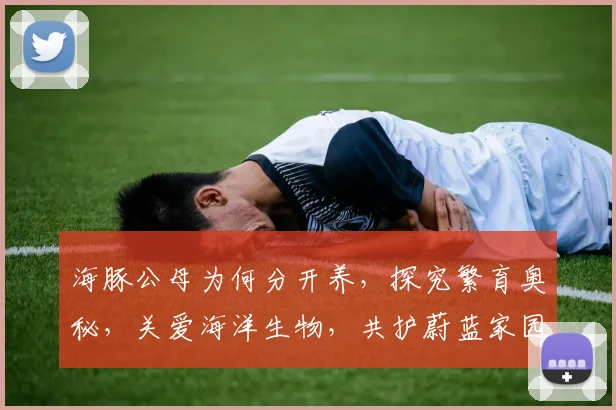 海豚公母为何分开养，探究繁育奥秘，关爱海洋生物，共护蔚蓝家园