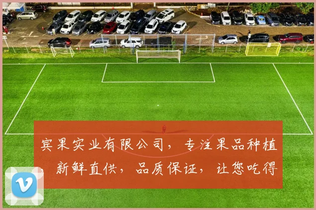 宾果实业有限公司，专注果品种植，新鲜直供，品质保证，让您吃得放心，笑口常开